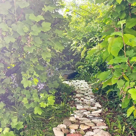 6 Person In Knebel-by Traum Holiday home *