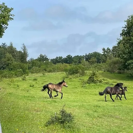 6 Person In Knebel-by Traum Dom wakacyjny Knebel