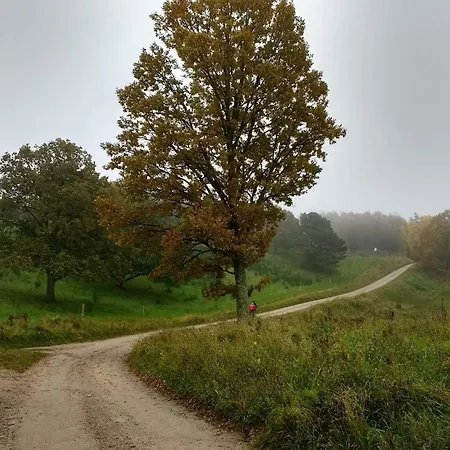 Dom wakacyjny 6 Person In Knebel-by Traum Knebel