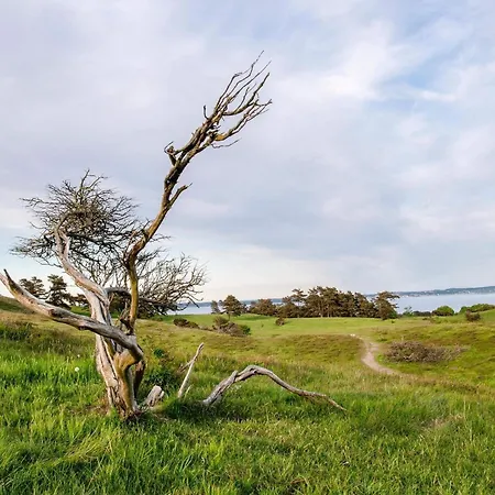 Dom wakacyjny 6 Person In Knebel-by Traum *