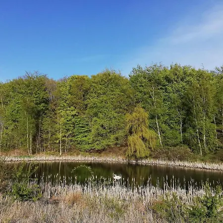 Dom wakacyjny 6 Person In Knebel-by Traum