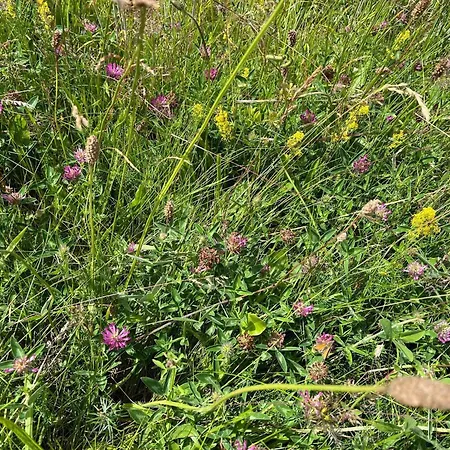 6 Person In Knebel-by Traum